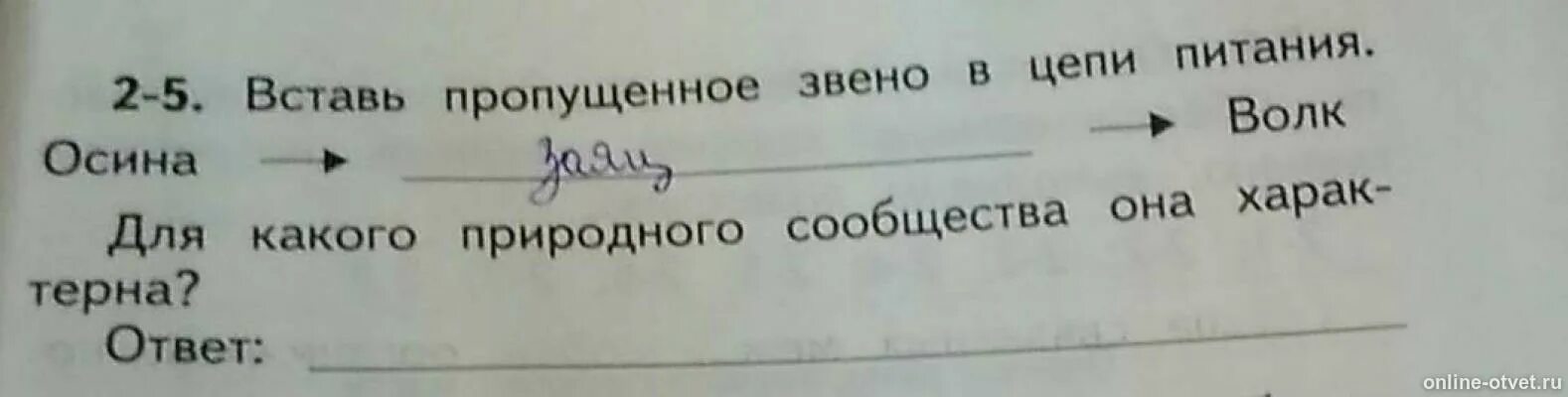 Вставьте пропущенное звено в цепи питания