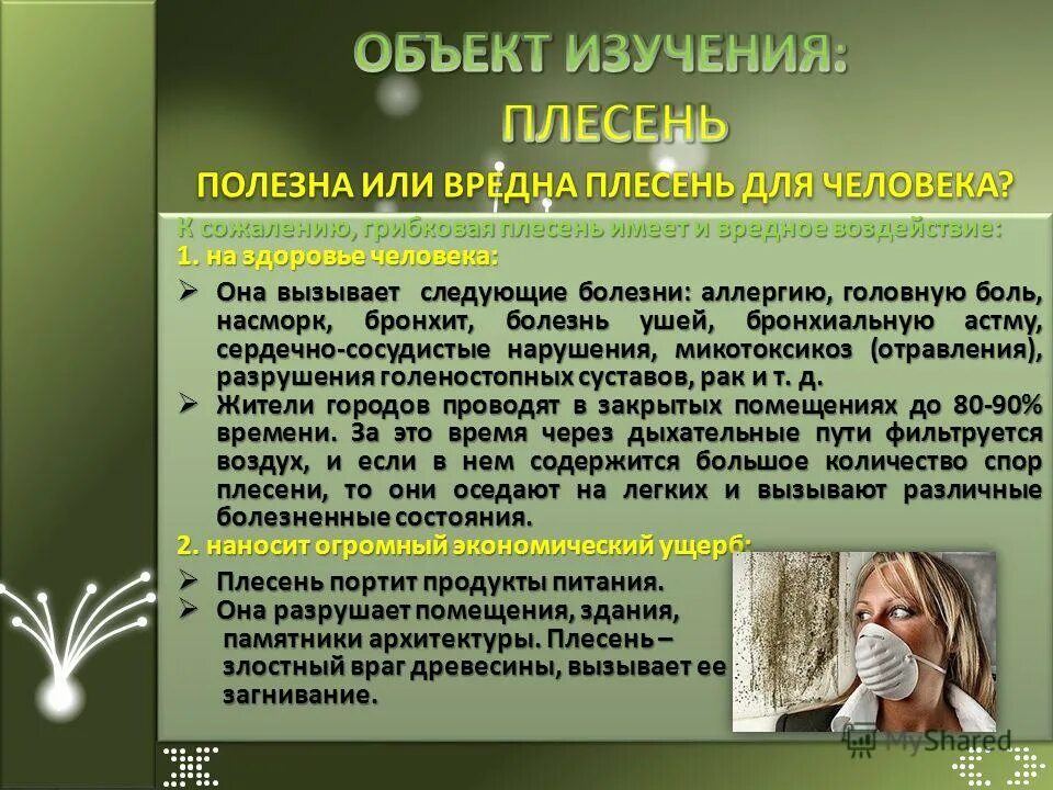 Может ли быть аллергия в виде кашля