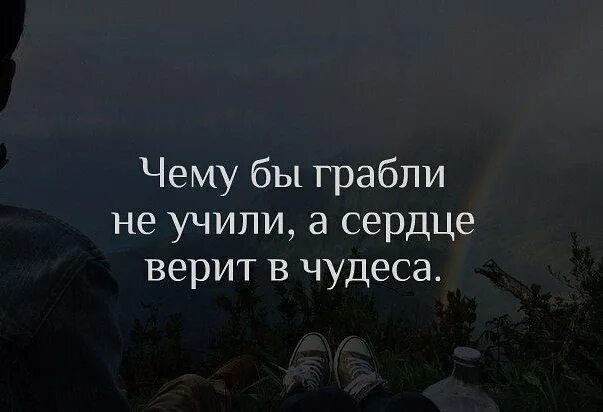 Сердце верит текст. Чему бы грабли не учили а сердце верит в чудеса. Чему бы грабли не учили а сердце верит в чудеса Автор. Грабли но сердце верит в чудеса. Сердце верит в чудеса цитаты.