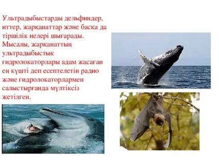 Android жүйесіндегі порно: екі эмо