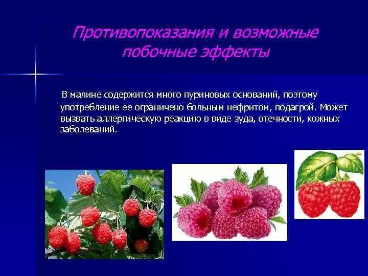 Малина противопоказания. Малина противопоказания. Красная малина витамины. Чем полезна малина. Малина hd обои.