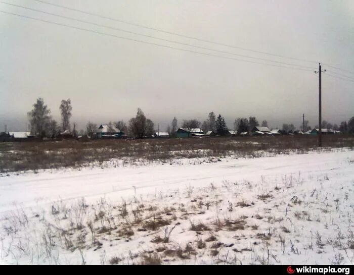 Снежный десант в селе смоленском. Погода в новой погощи. Погода в новой погощи. Новая погощь суземского. Волонтёры снежный десант.