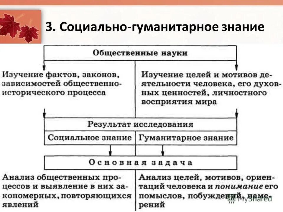 Процесс социально гуманитарного образования. Социально-гуманитарное познание. социально-гуманитарные знания. социальные и гуманитарные знания. особенности социально-гуманитарного познания.