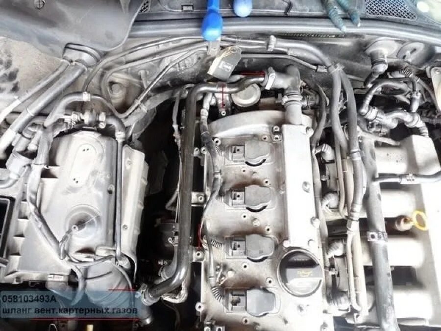 Vw passat b5 1.8 t awm. Вентиляция картерных газов ауди а4 б6 1.8. вентиляция картерных газов ауди а4 б5 1.8т. ауди а6 с5 1.8т вкг. audi a4 b5 awm 1.8t,.