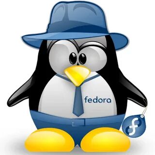 Fedora sudo