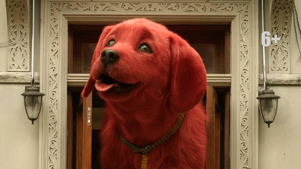 Большой красный клиффорд. Красный пёс Клиффорд 2021.
