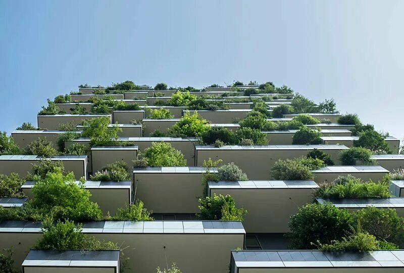 Building and environment