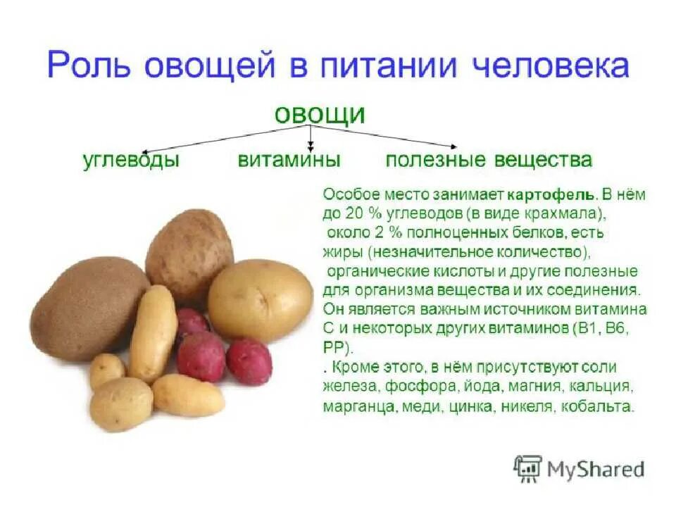 Почему нельзя есть картошку