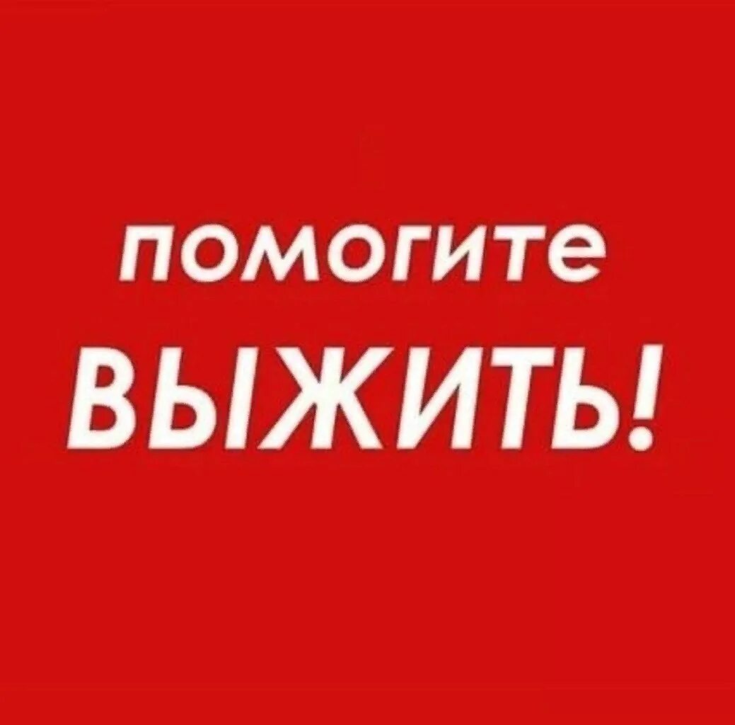 Помогите. Срочно нужна помощь. Помоги выжить. Надпись помогите. Слово помогает выжить