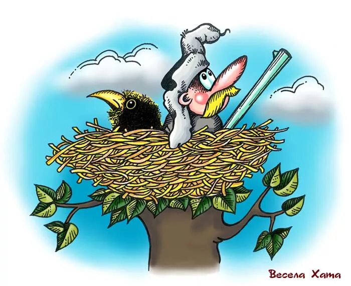 Веселая хата. Карикатуры про птиц. Птичка карикатура. Гнездо птиц карикатура. Смешная птица в гнезде.