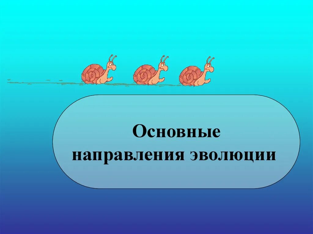 Основные направления эволюции. Основные направления эволюции 9 класс. Направления эволюции презентация. Урок главные направления эволюции. Прогрессивные эволюционные изменения