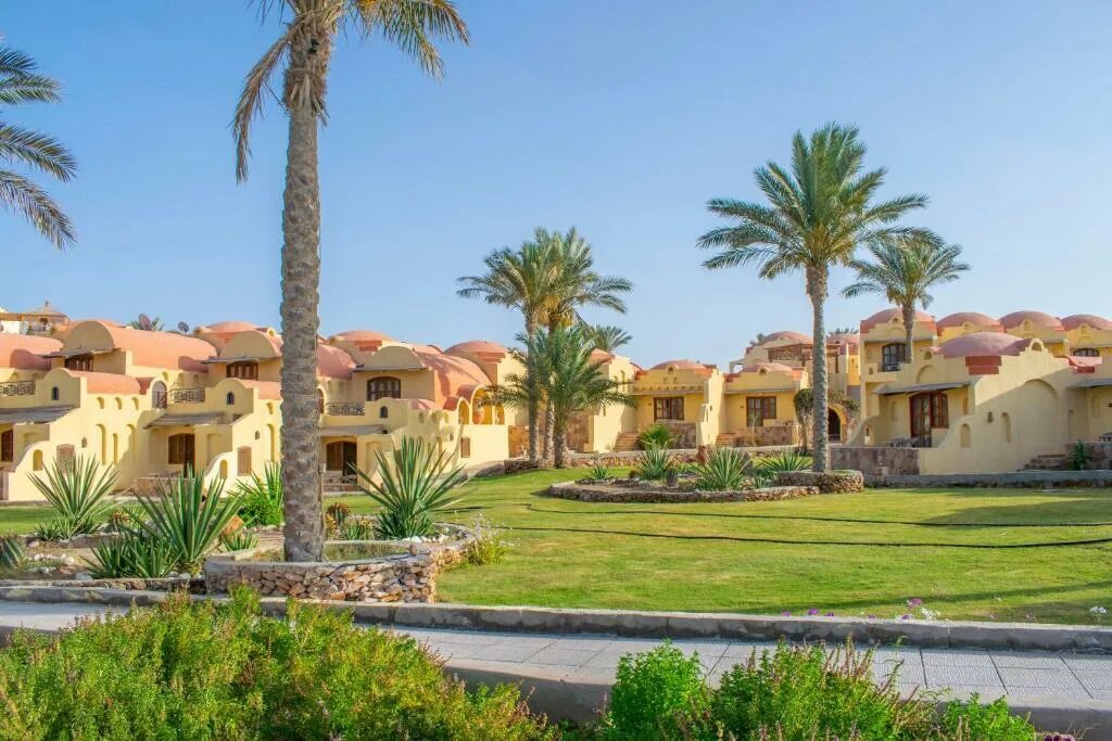 Protels crystal beach resort 4 египет марса. Марса-алам египет. сеть отелей albatros в марса-аламе.
