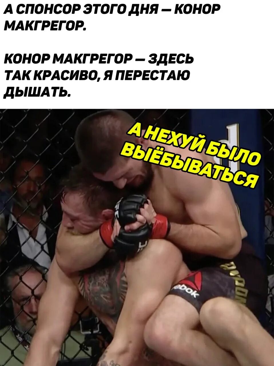 цитаты драки. цитаты про бокс смешные. цитаты про драки. афоризмы драка. цитаты бойцов.