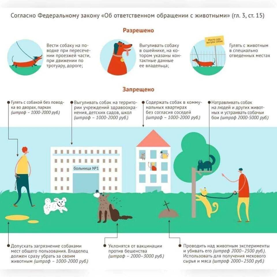 Выгул собак в общественных местах. Правила выгула собак. Закон о выгуле собак. Правила содержания собак. Правила содержания домашних животных.