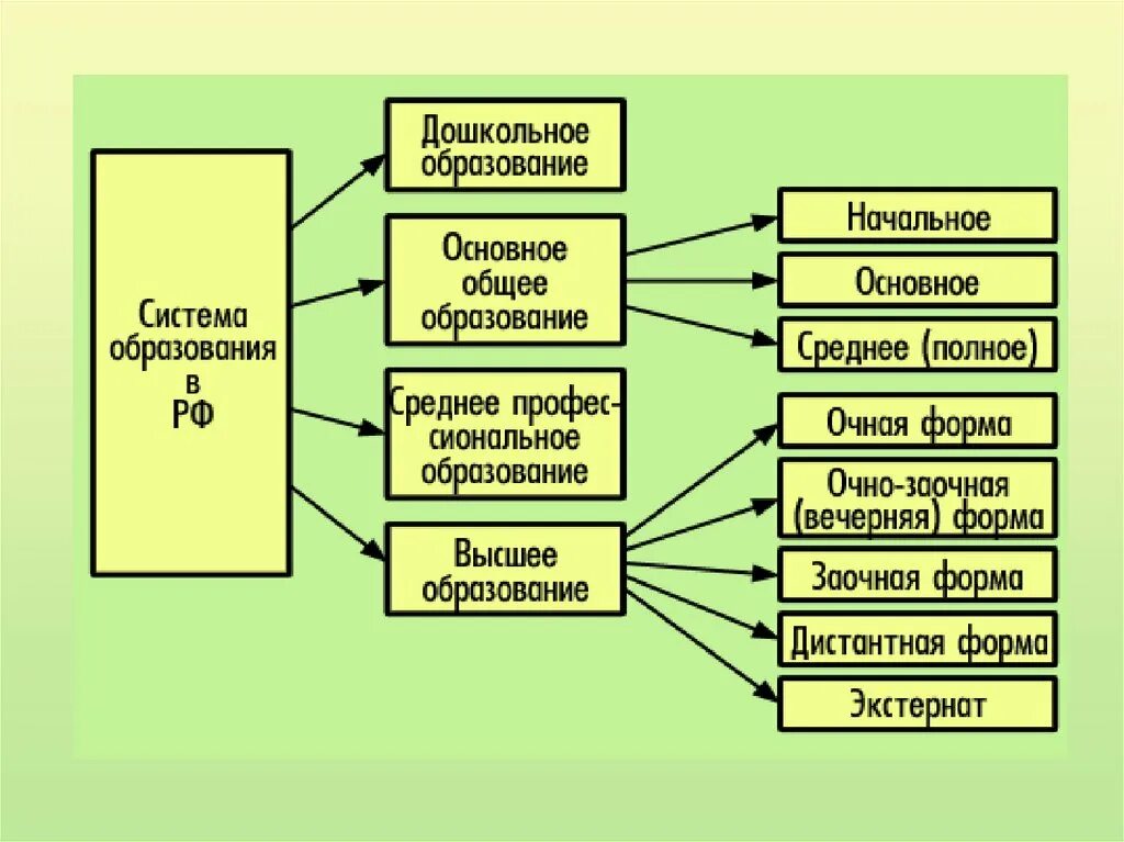 Часть профессиональной системы образования. Схема общего образования в России. Схема общее образование в РФ.