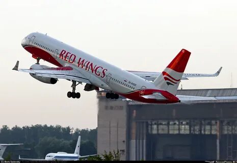 Red wings проверить