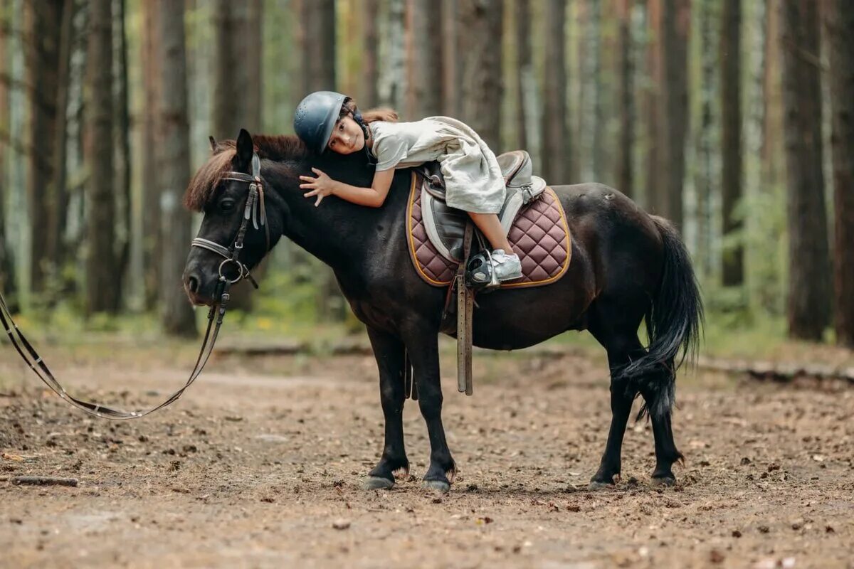 Лошади гуляют. Прогулка на лошадях. Прогулки на лошадях Нижегородской. Прогулка на лошадях фото. Катание на лошадях СПБ.