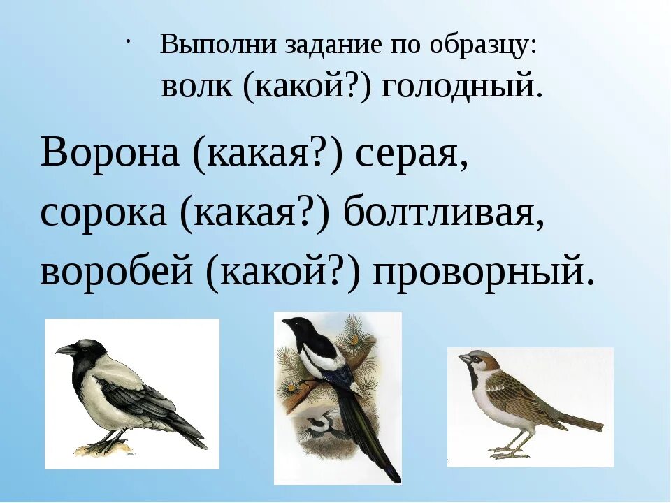 Воробей подобрать прилагательное. Птицы прилагательные. Воробей какой прилагательные для детей. Сорока какая признаки. Ворона какая прилагательные.