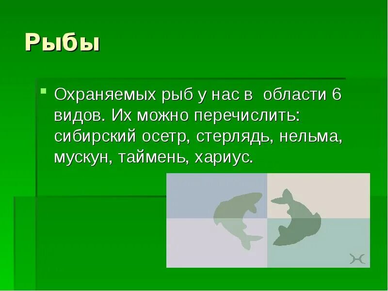 Красная книга новосибирска. Животные из красной книги Новосибирской области. Животные красной книги Новосибирской области презентация. Красная книга Новосибирской области. Птицы из красной книги Новосибирской области.