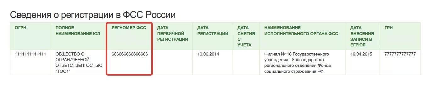 Регистрационный номер страхователя юридического лица. Регистрационный номер страхователя в ФСС. Регистрационный номер ФСС юридического лица. Регистрационный номер ФСС для ИП. Не найден страхователь с рег номером