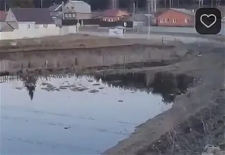 Паводок 2024 год