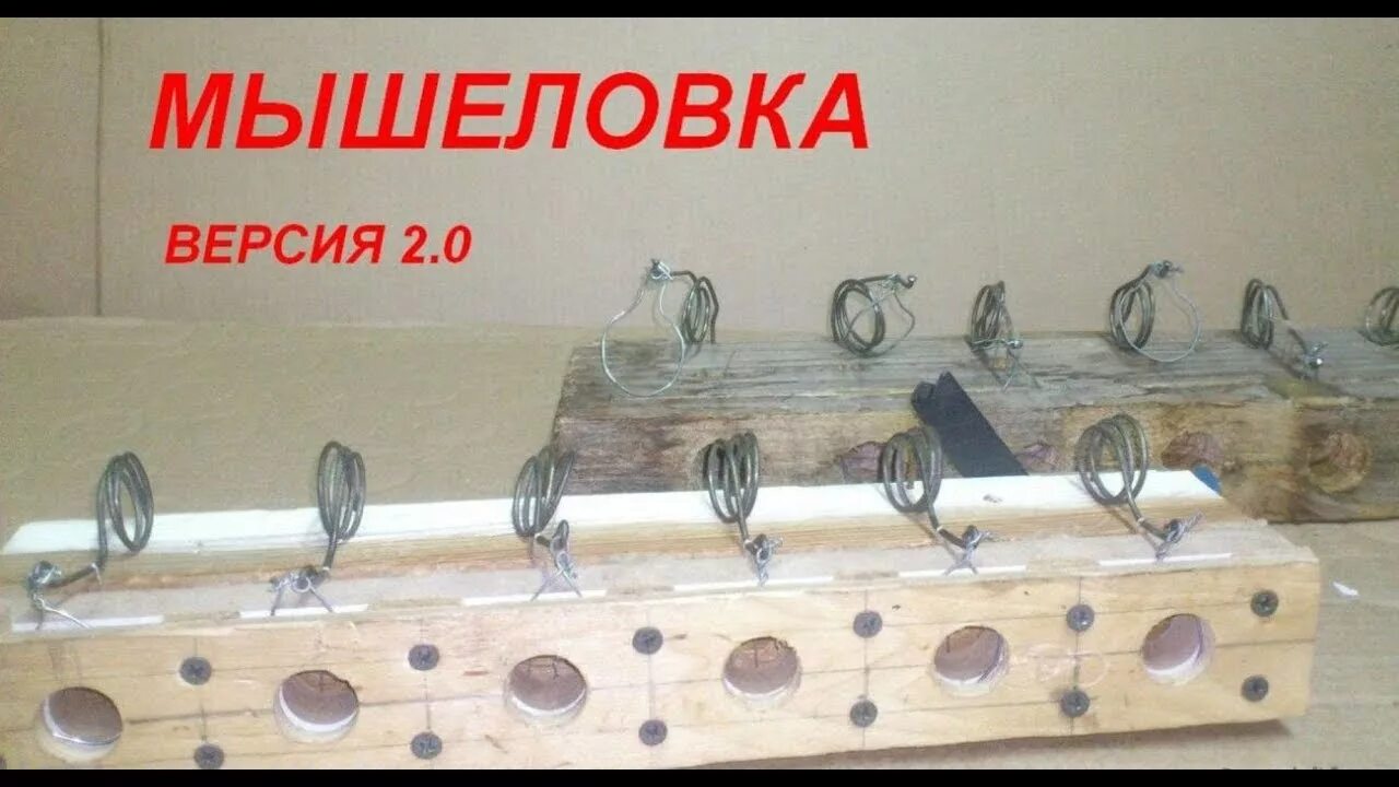 Мышеловка. Мышеловка для грузинской мыши. Японская мышеловка. Самодельная мышеловка.