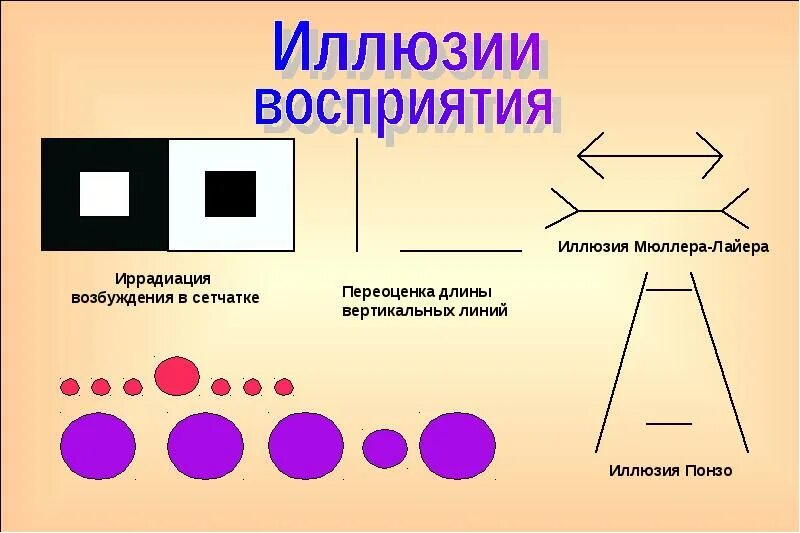 Иллюзия Миллера лайнера. Иллюзия восприятия размера Мюллера лай. Иллюзия линий Мюллера-Лайера. Иллюзии Познавательные процессы. Иррадиация чувств