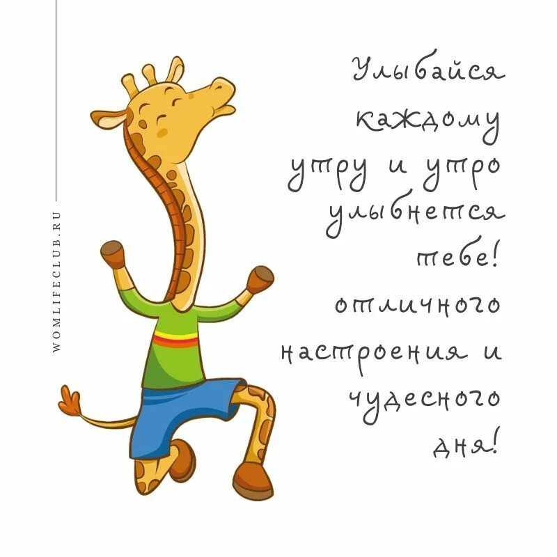 Утро с пожеланиями с приколами. Весёлые поздравления с утра. веселые пожелания доброго утра. пожелания с добрым утром прикольные. пожелания с добрым утром п.