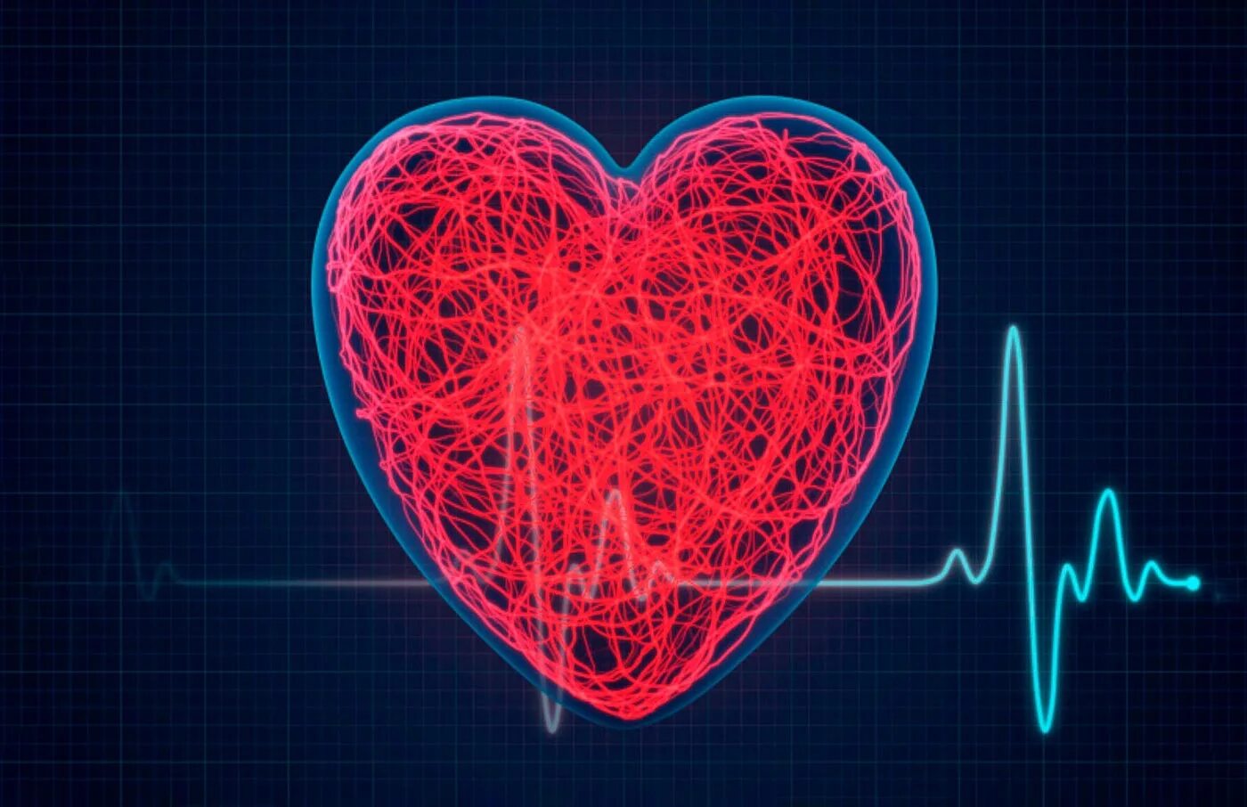 Сердце. Кардиограмма сердца.