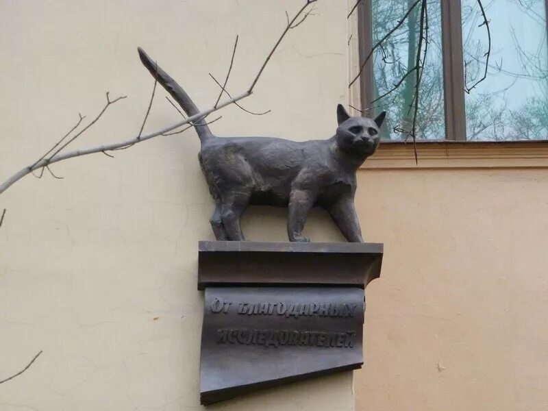 Питерские котики. Коты санкт-петербурга. Эрмитажные коты санкт-петербурге. Петербургские коты елены алехиной. Санкт-петербург малая конюшенная будка.