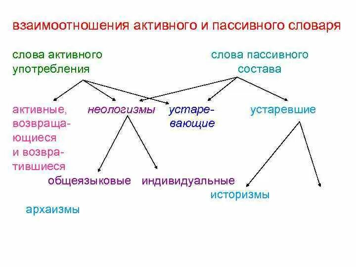 Слова активна лексика. Схема активная и пассивная лексика. Активная и пассивная лексика русского языка. Лексика активный и пассивный состав языка. Активный и пассивный состав лексики русского языка.