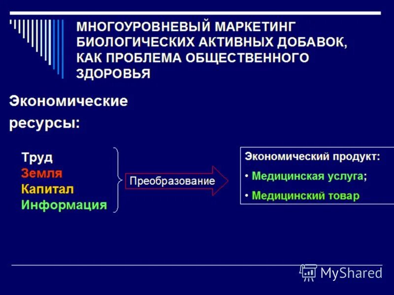 Проблемы общественных движений