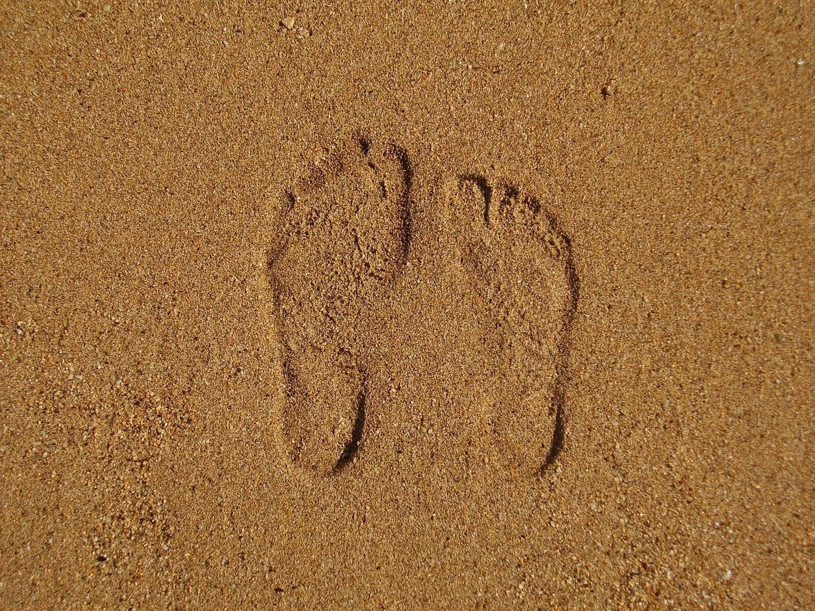 Следы на песке слушать. Отпечаток на песке. Следы на песке. Отпечаток ноги на песке.