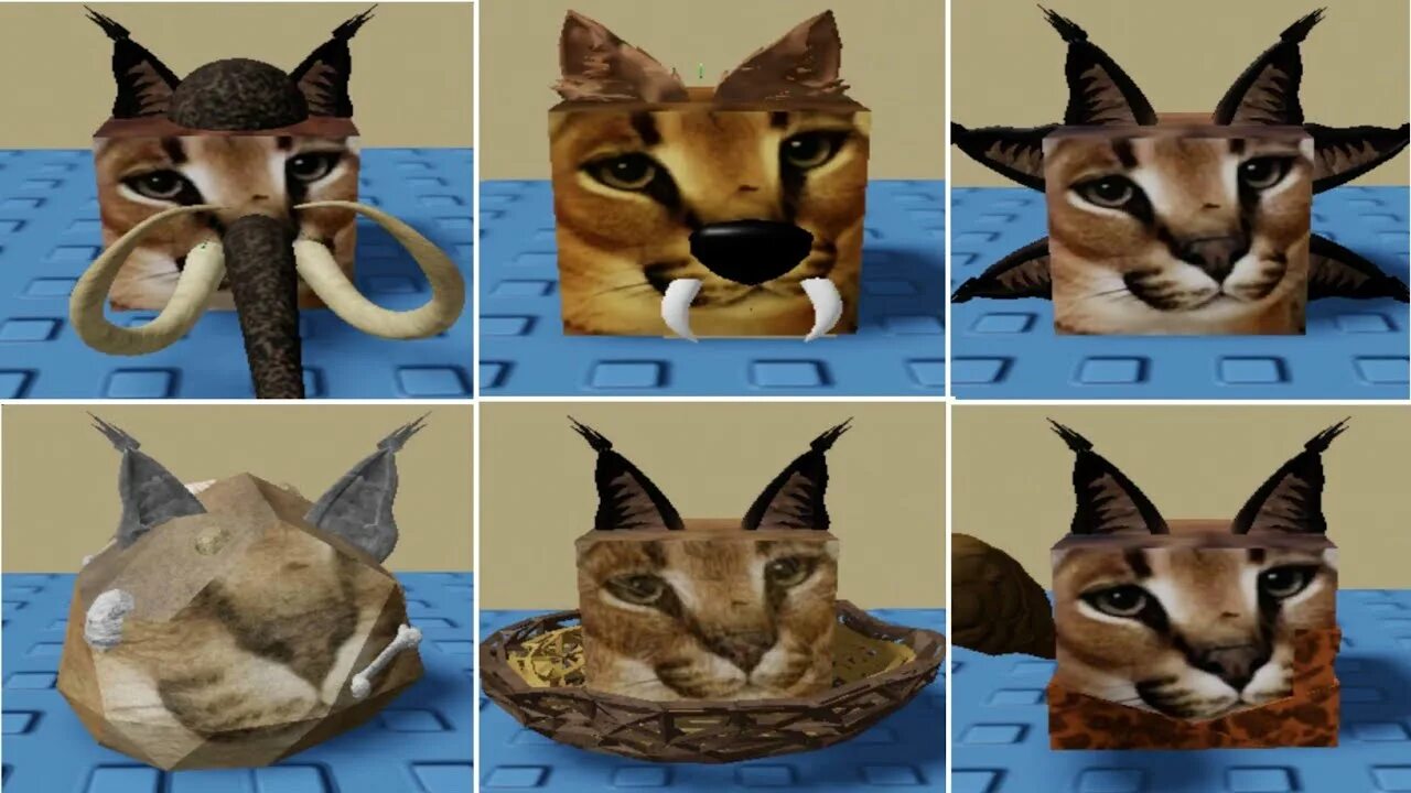 Find the floppa morphs. Кот шлепа из роблокса. roblox find the floppa morphs. роблокс морфы флоппы где свёрнутый. the prehistoric skin.