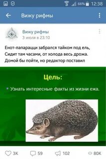 Смешная мужская рифма