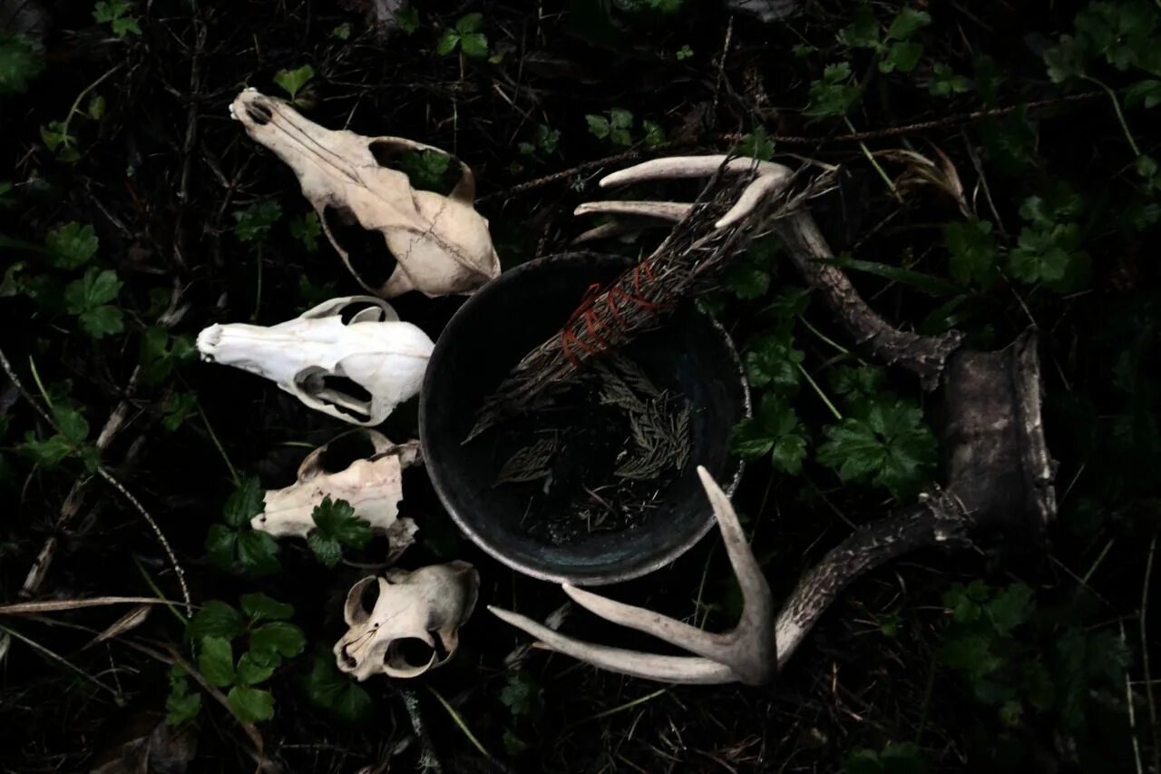 Ritual sanity