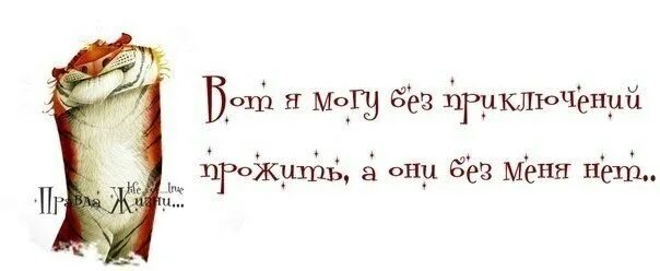А как без них прожить. Смешные высказывания о приключениях. Цитаты про приключения. Фразы о приключениях. Афоризмы про приключения.
