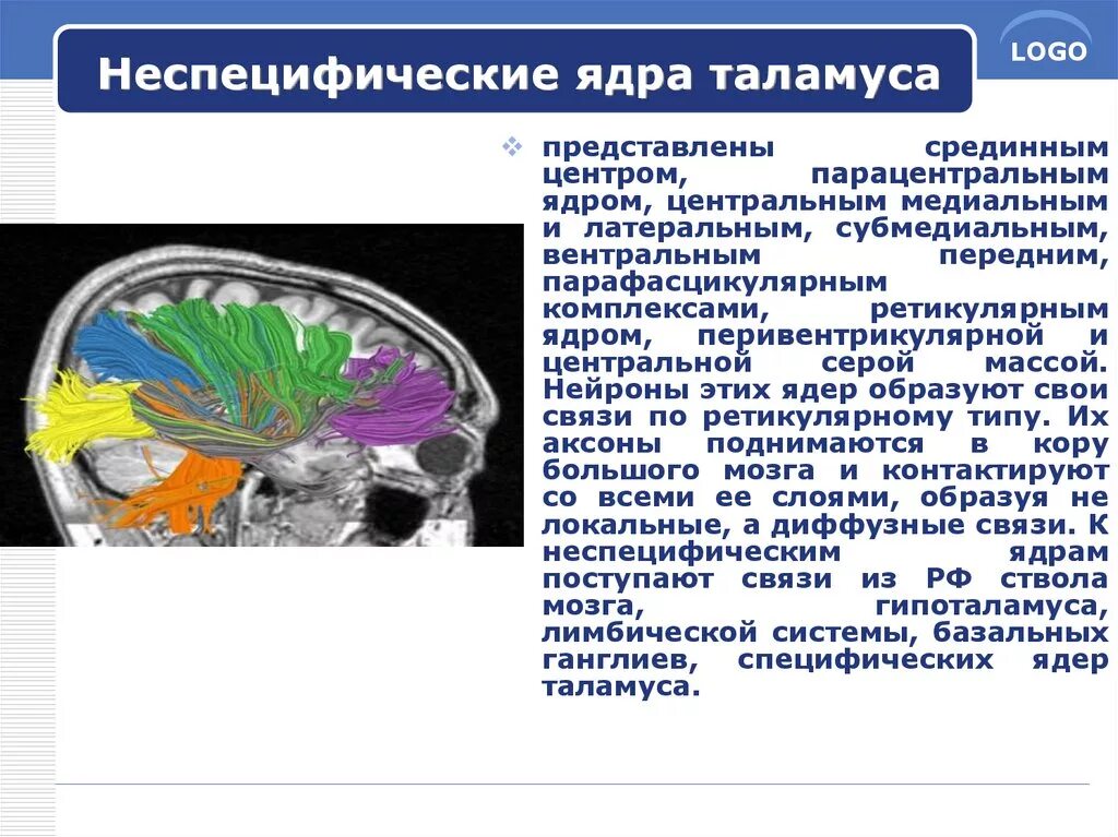 Неспецифические изменения головного мозга. Неспецифические ядра таламуса. Ретикулярное ядро таламуса. Ядра таламуса специфические и неспецифические ассоциативные. Ядра таламуса и их функции специфические и неспецифические.