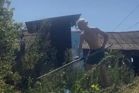 Развлекаются в деревне