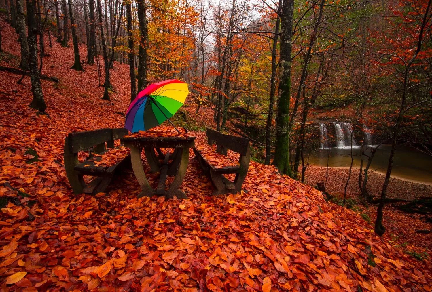 Настроение осень картинки. Осень зонтик. Необычайная осень. Необычная осень. Яркие моменты осени.