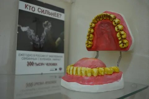 Гигиена екатеринбург