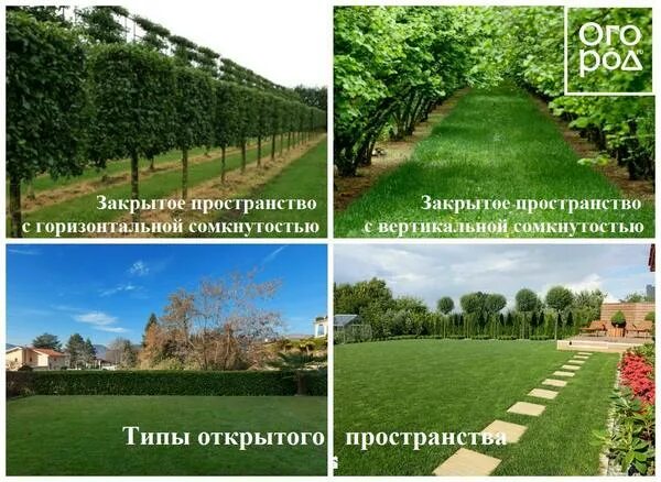 Типы пространственной структуры. Полуоткрытый тип пространственной структуры. Типы пространственной структуры региона. Пространственная структура популяций растений и животных. Типы пространственной структуры.