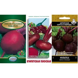 Свекла мулатка описание