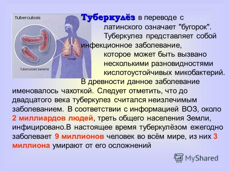 Туберкулез перевод. Инфекции, которые могут вызвать м. tuberculosis:.