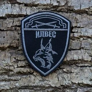 Шевроны отрядов