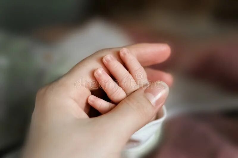 Руки матери. Нежные мамины руки. Baby hand. Рука мамы тянется к руке ребенка. Mom's hand