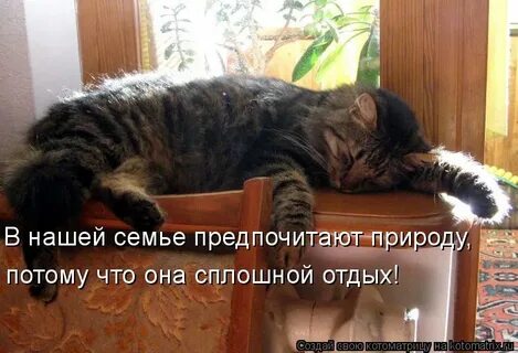 Отдохни немного