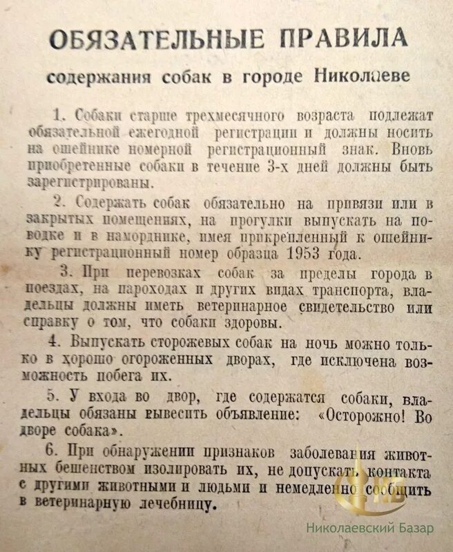 Правила содержания 170. Временные правила содержания собак и кошек в г Москве. Регламент содержания кошек и собак в Москве. Распоряжение о содержании собак. Закон о содержании кошек и собаках в Москве.