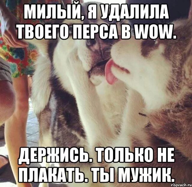 Хоббит болен. Песня милая держись. Песня милая держись. Кили и тауриэль удаленные сцены. Песня милая держись.