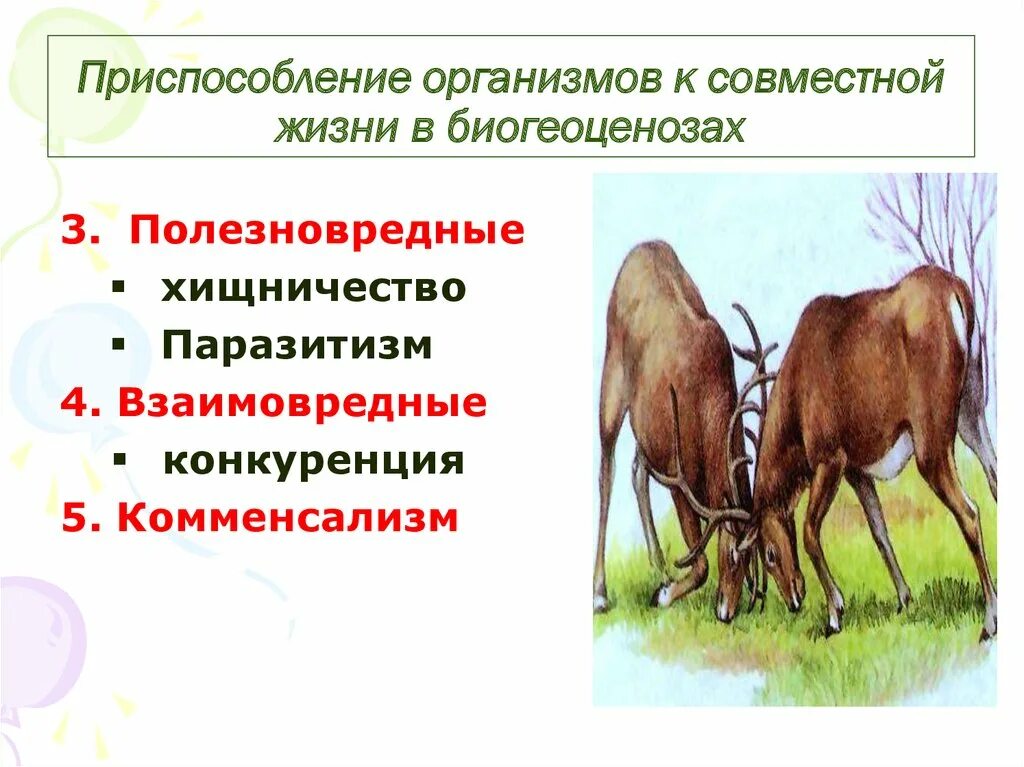 Приспособление организмов. Приспособление организмов адаптация. Приспособление организмов к совместной жизни в биогеоценозах. Приспособления растений к совместной жизни.